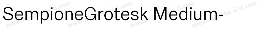SempioneGrotesk Medium字体转换